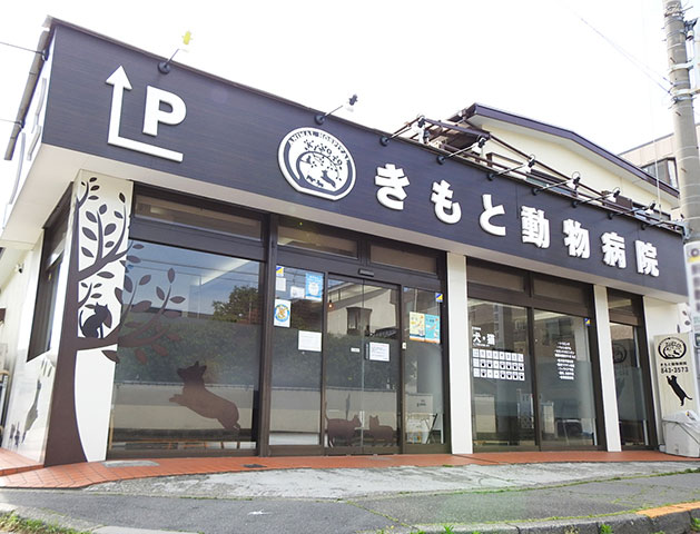 日野市 豊田駅ちかくのきもと動物病院